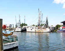 wp24052ec5_0f.jpg