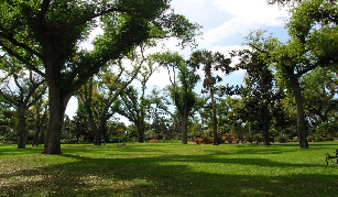 wpd30dd940_0f.jpg