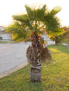 wpe8eac748_0f.jpg